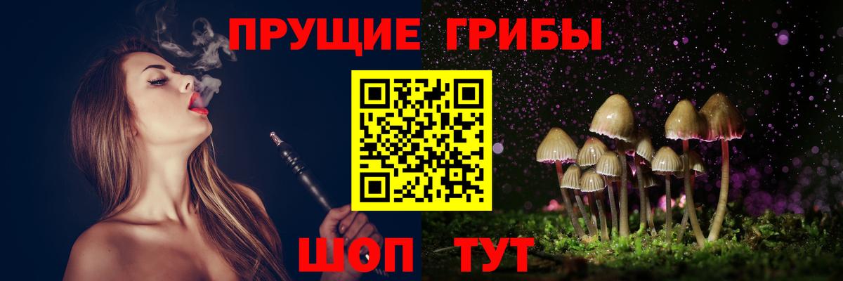 Псилоцибиновые грибы Psilocybine cubensis  Вход с VPN  Белово  Галлюциногенные грибы MAGIC MUSHROOMS 