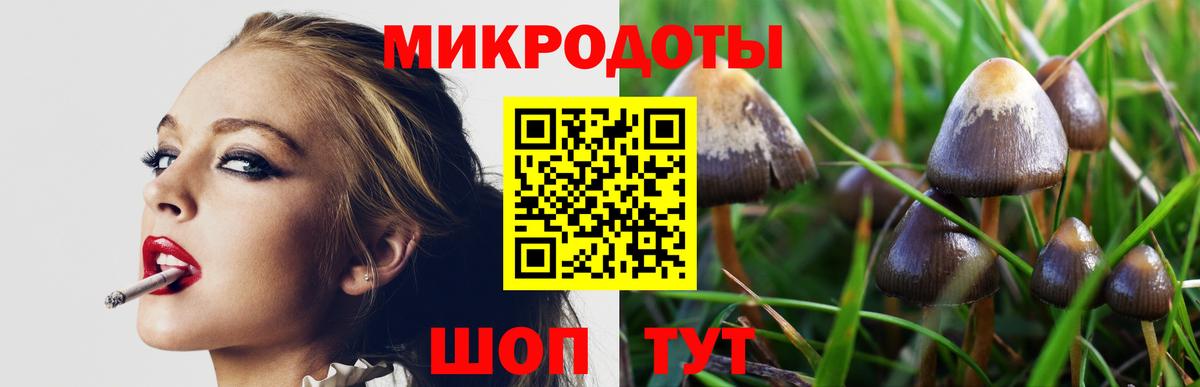 Галлюциногенные грибы мицелий Белово